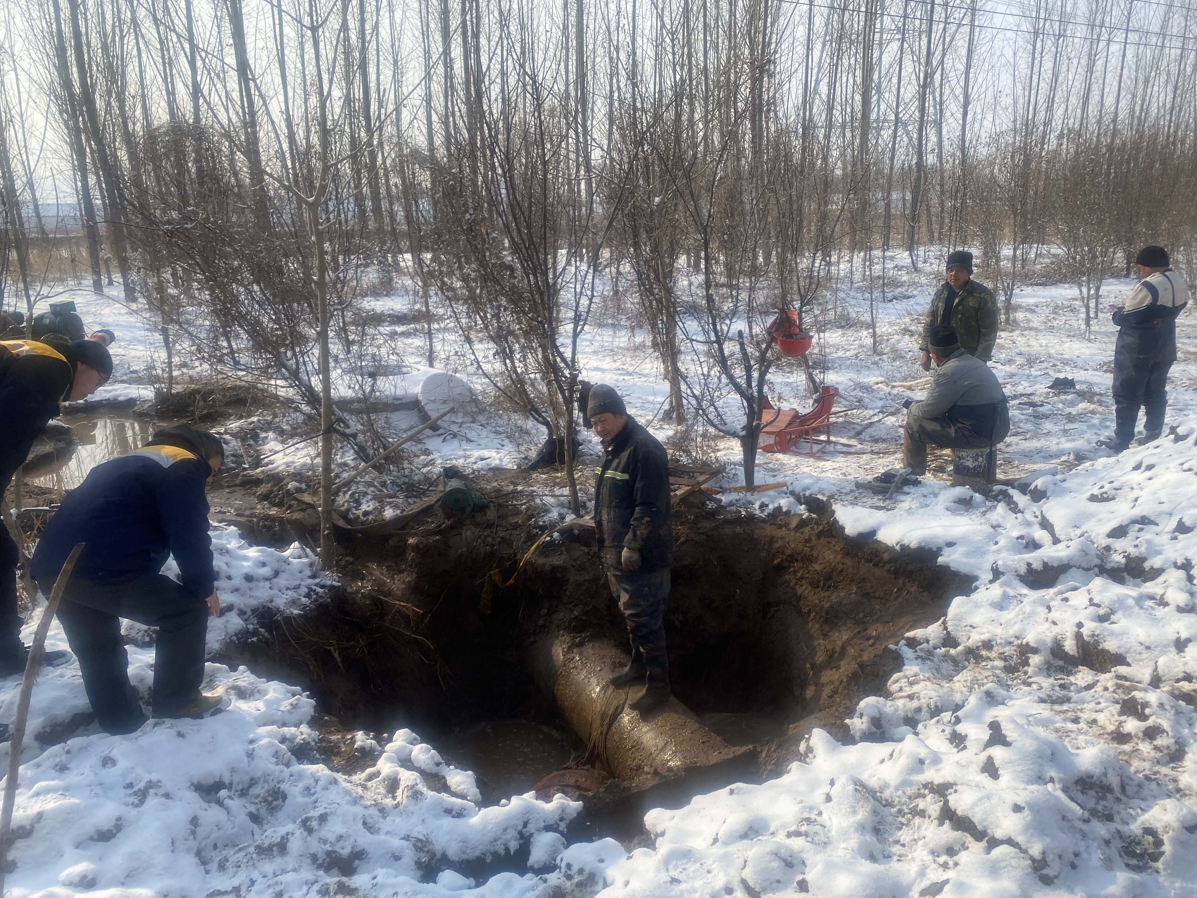 1708656534131961.jpg 图片3.jpg